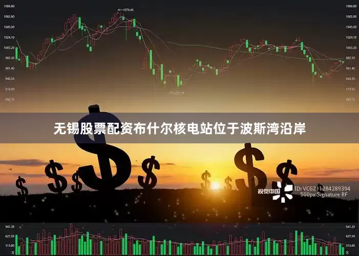 无锡股票配资布什尔核电站位于波斯湾沿岸
