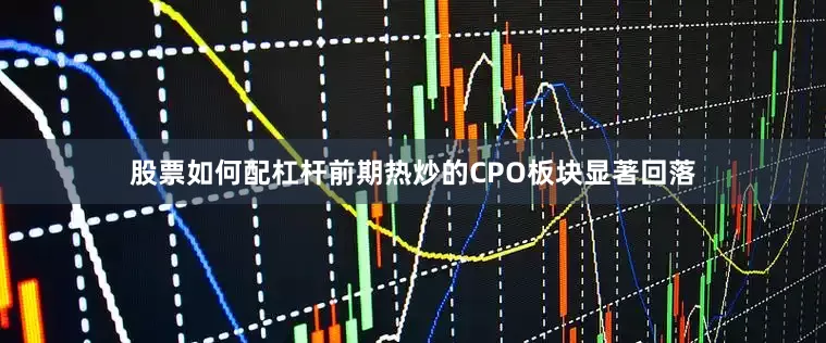 股票如何配杠杆前期热炒的CPO板块显著回落